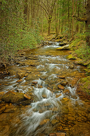 _C7A2704_Nik_DxO