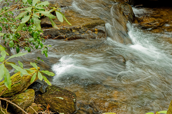 _C7A2721_DxO