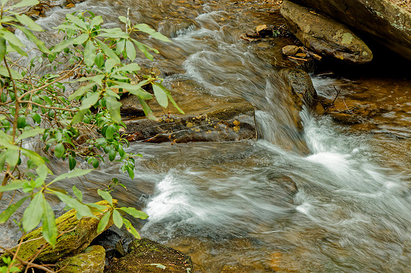 _C7A2722_DxO