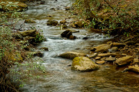 _C7A2731_Nik_DxO