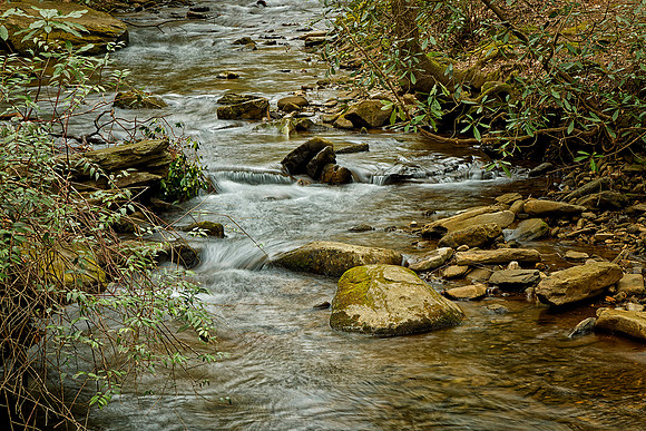 _C7A2731_Nik_DxO