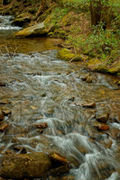 _C7A2746_Nik_DxO