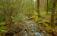 _C7A2748_Nik_DxO