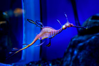 _DSC0564