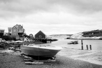 _DSC4535