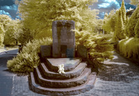 _IR70131