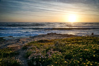 _DSC9042-Edit