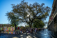 _DSC8438-Edit