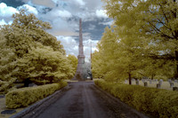 _IR70135