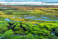 _DSC9210-Edit