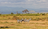 _C7A9007_DxO