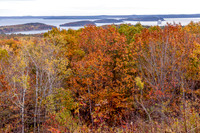 _MG_0229