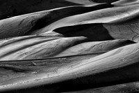 Sand Dunes 2