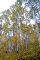 _C7A6312_DxO