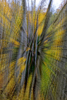 _C7A6315_DxO