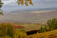 _C7A6328_DxO