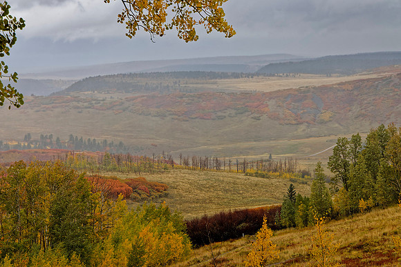 _C7A6328_DxO