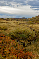 _C7A6412_DxO2