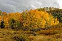 _C7A6416_Nik_DxO2