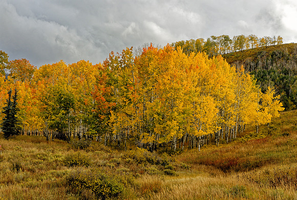 _C7A6416_Nik_DxO2