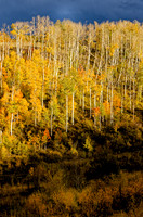 _C7A6458_Nik_DxO2