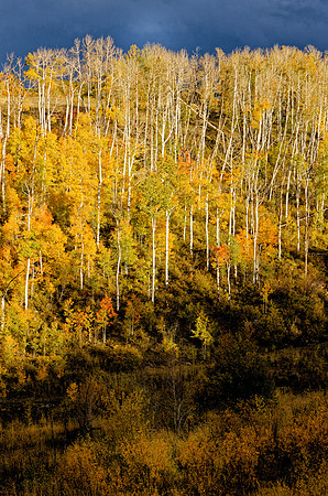 _C7A6458_Nik_DxO2