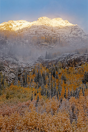 _C7A6529_DxO2