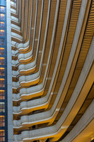 _DSC1071