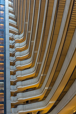 _DSC1071