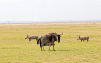_C7A9097_DxO