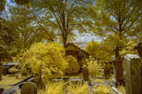 _IR70080-Edit-2