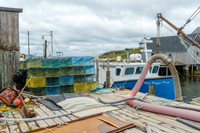 _DSC4564