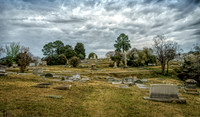 _DSC3338-Edit-2