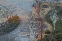 _C7A7528_DxO2