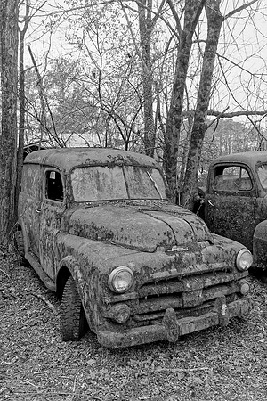 _MG_4529_DxO2_1