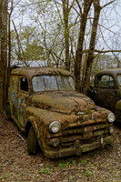 _MG_4529_DxO2