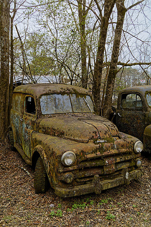 _MG_4529_DxO2