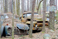 _MG_4558_DxO2