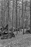 _MG_4488_Nik_Nik_1_DxO2