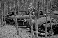 _MG_4494_DxO2