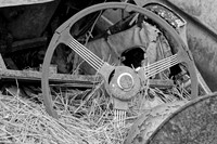 _MG_4503_DxO2