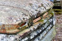_MG_4523_DxO2