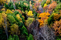 _MG_0221-Edit