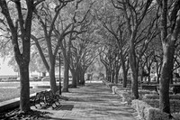 _MG_4688_DxO2