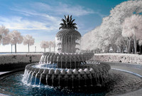 _MG_4700_DxO2