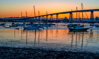 _DSC9377-Edit