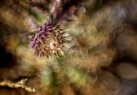 CS3_6453-Edit