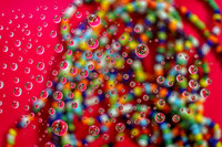 _DSC7543-Edit