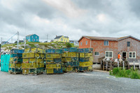 _DSC4560