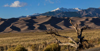Sand Dunes 4